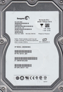Seagate 250 GB 3.5" SATA Hard Drive ST3250310NS P/N: 9CA152-784 - USED